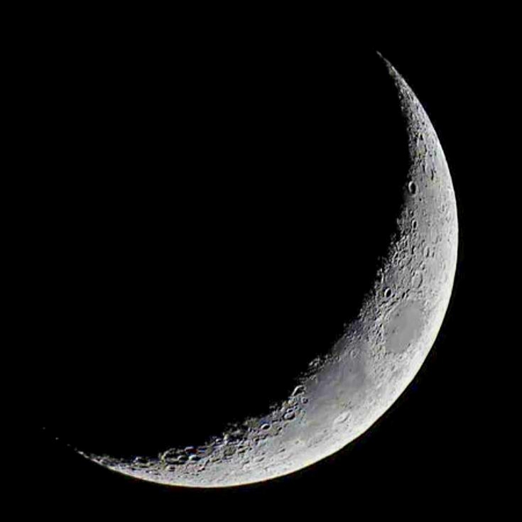 Silver Moon EA