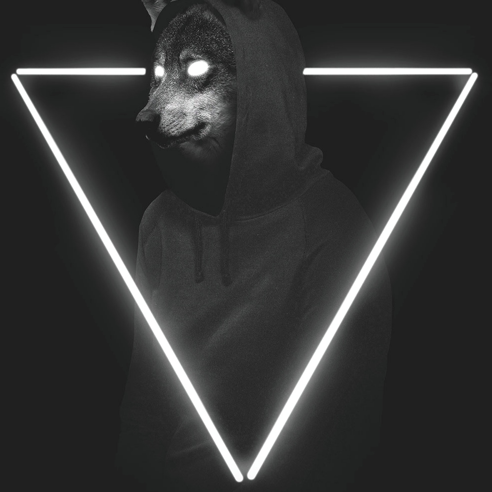 Undefeated Triangle